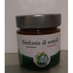 SINFONIA DI SOTT'OLI